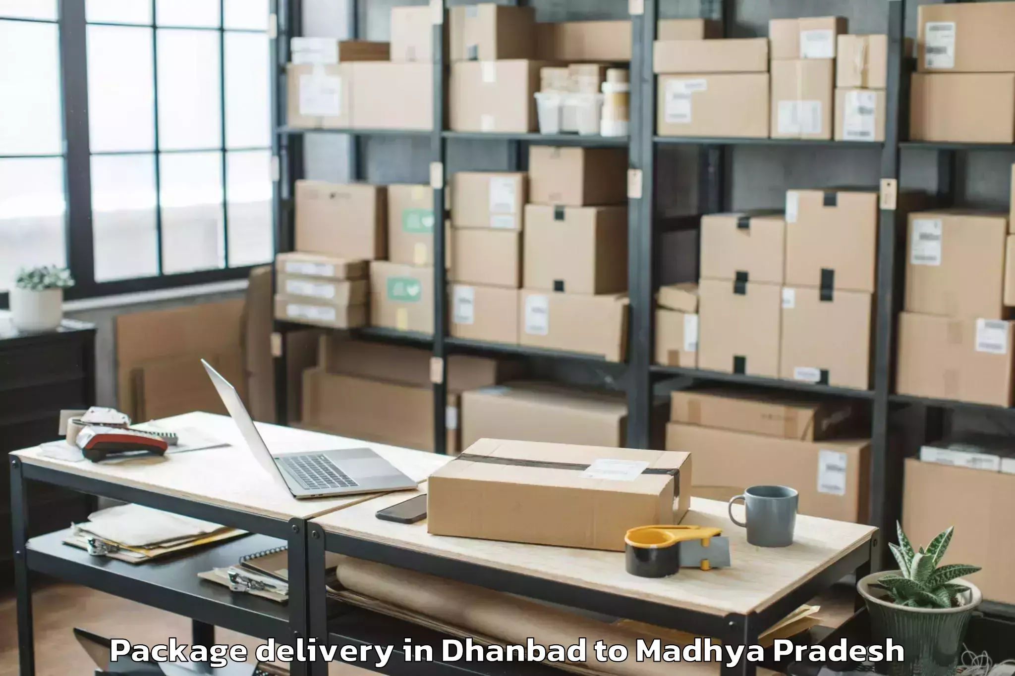 Affordable Dhanbad to Bargi Package Delivery